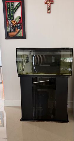 Fluval Bowfront Aquarium + Stand — Large Setup