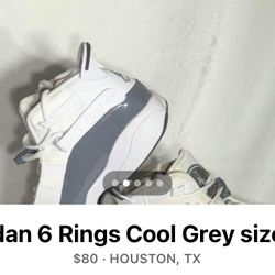 Jordan 6 Ring Cool Grays
