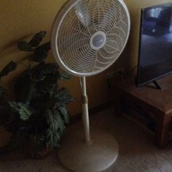 Standing fan