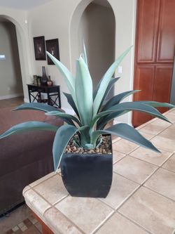 Artifical Plant