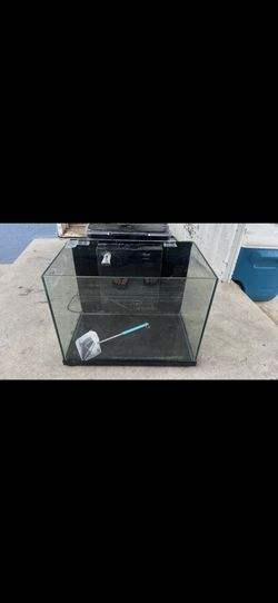 Reef Tank