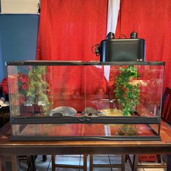 Like New 40 Gallon Zoo Med Front Opening  Reptile Terrarium/Tank! (36in Length x 18in Width X 18in Height)