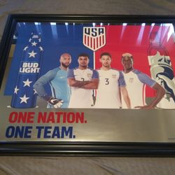 USA Mirror