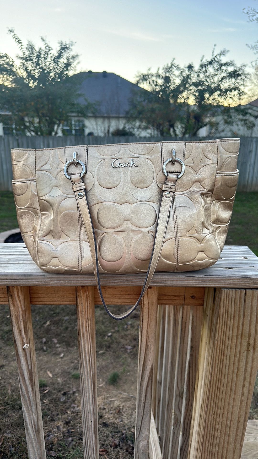 Authentic Gold Metallic Coach