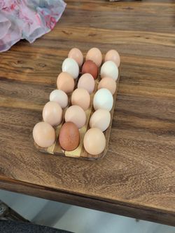 Fresh Eggs