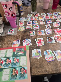 Panini stickers world cup