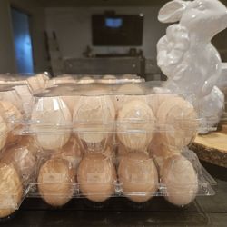 Fresh Eggs 