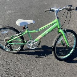 Liv youth bike with gears 20 inch wheels