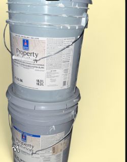 Paint (extra white )