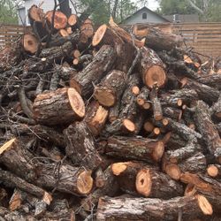 Se Vende Leńa de Nogal 