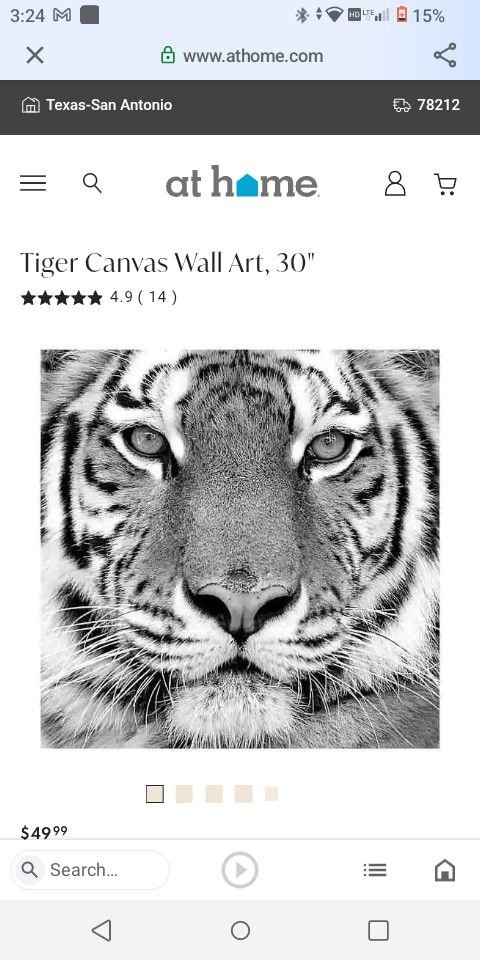 Tiger Canvas Wall Art