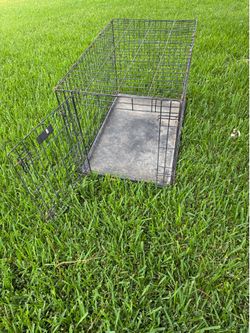 Dog Large Crate