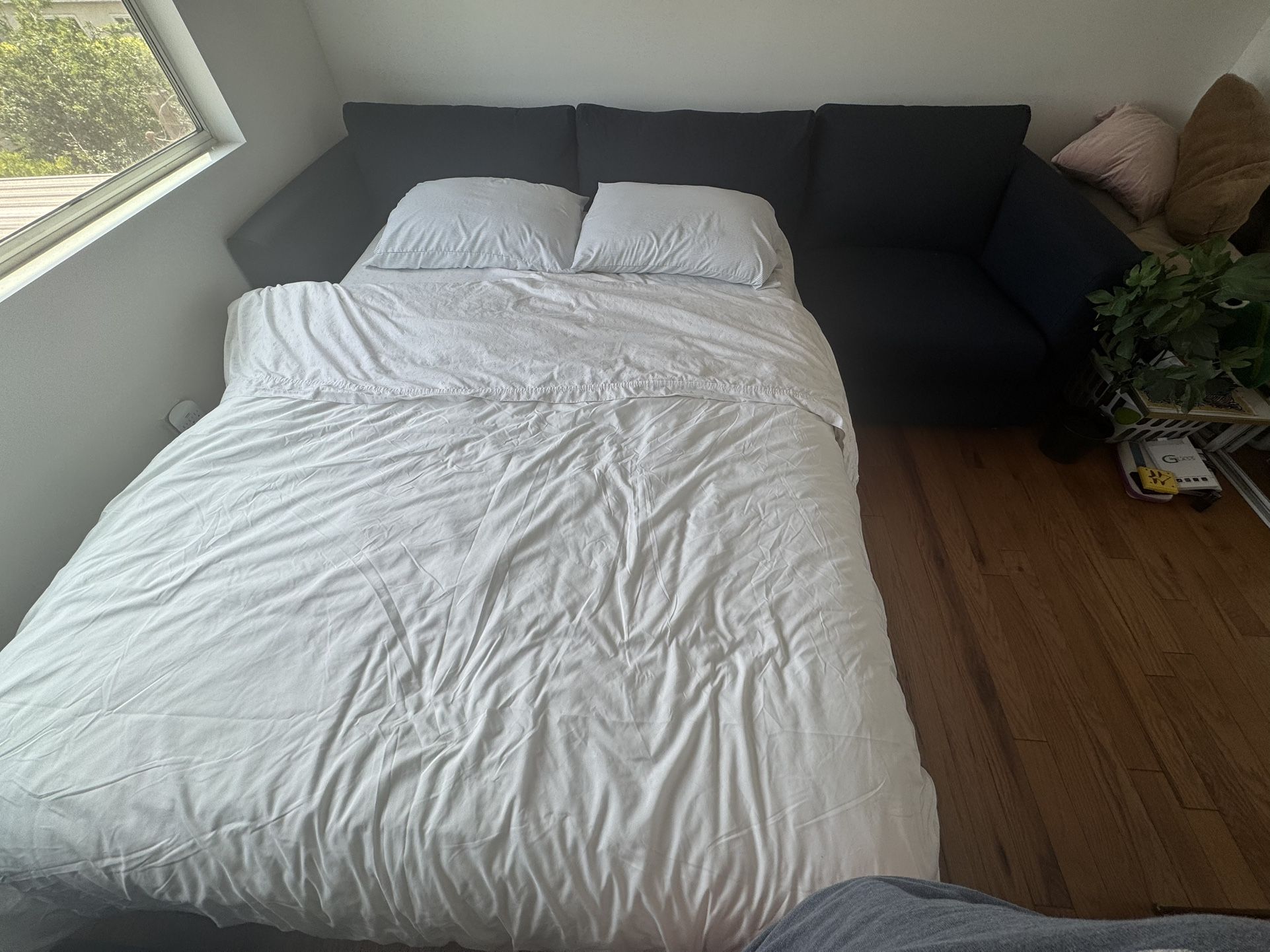 Pull Out Couch