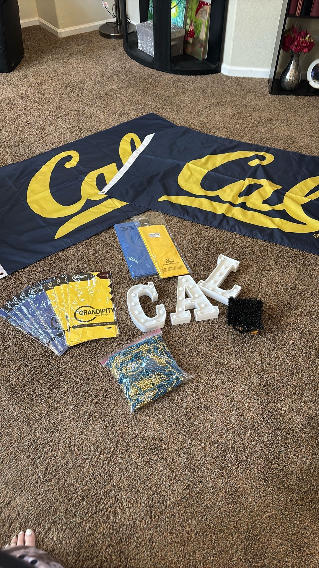 CAL Flags X2 And Light Up Letters