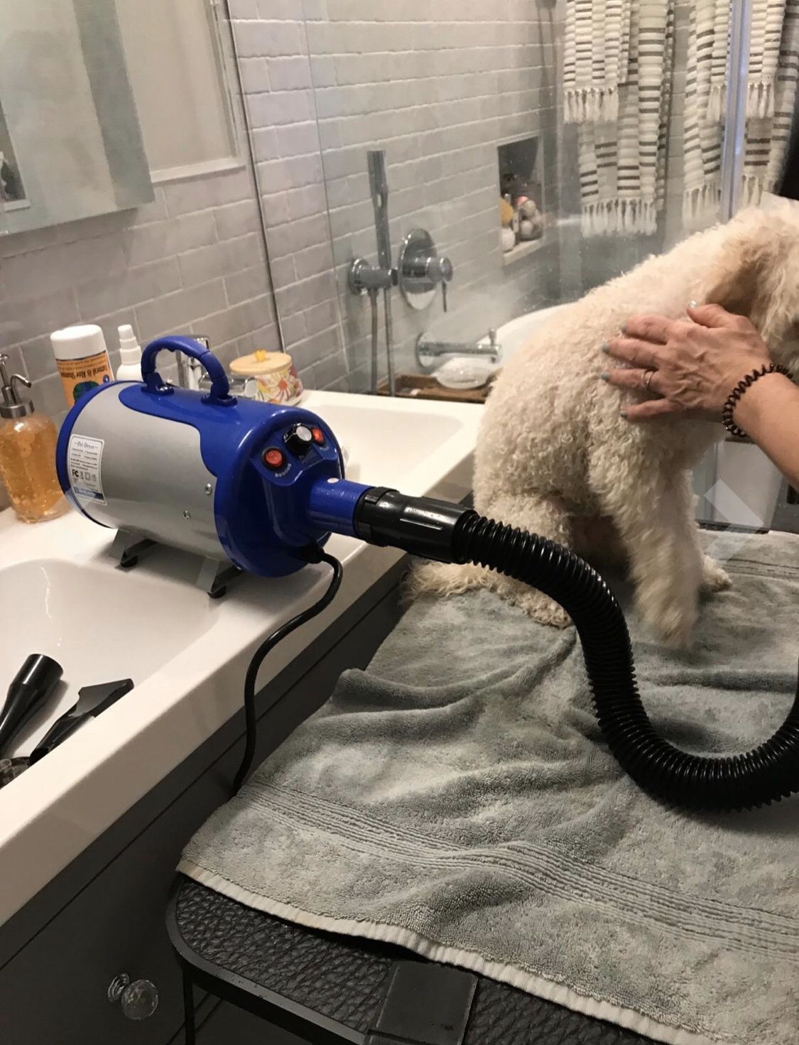 SHELANDY SUPER POWERFUL PET DRYER DOG BLOWER & DRYER FOR PET GROOMING