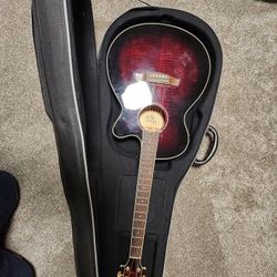 Ibanez AEG2011 2013