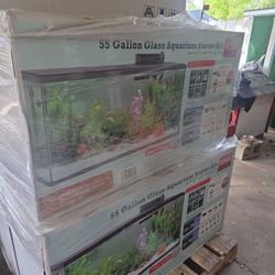 55 gallon aquarium