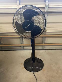 Fan