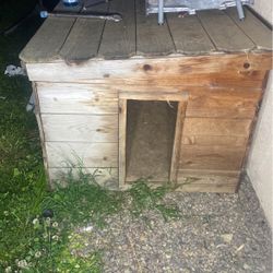 Custom Redwood doghouse for large dogs