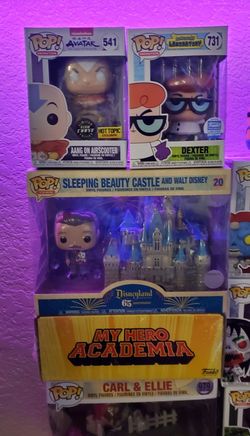 Sleeping Beauty Castle