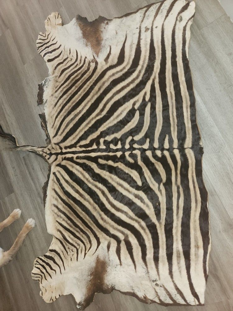 Zebra Skin Rug