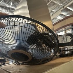Fans 