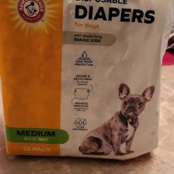 Arm N Hammer Female Diapers Sz Medium 12 Count 