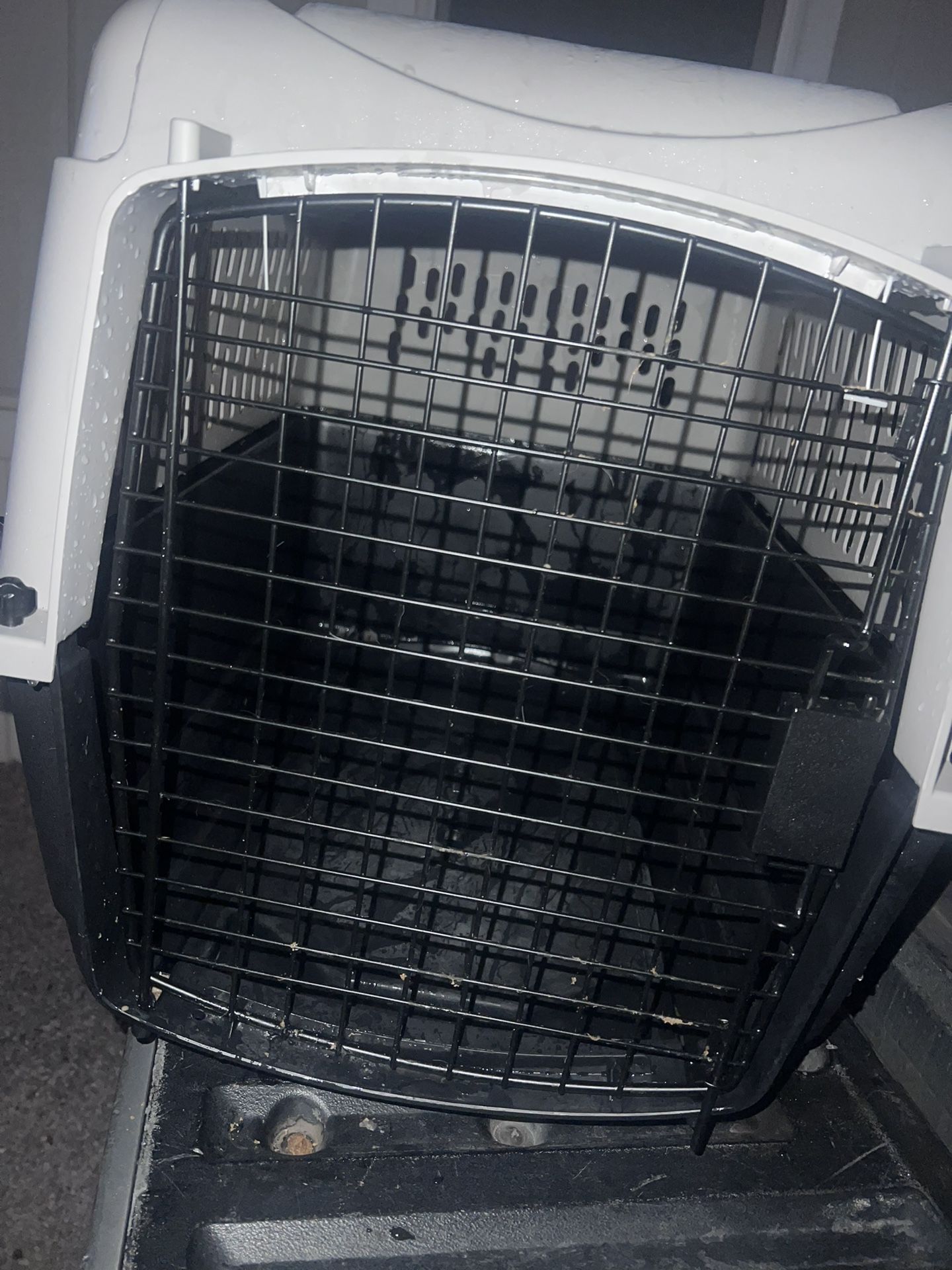 Dog Cage