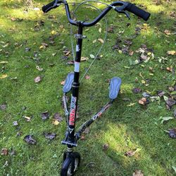 TRIKKE T12 Roadster Scooter 3-WHEEL Carving Scooter disc brakes