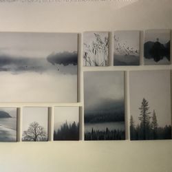 9 Picture Collage Of Forest And Lake