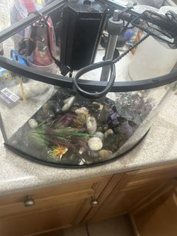 6 Gallon Fish Tank