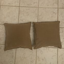 2 Decor Tan Pillows 