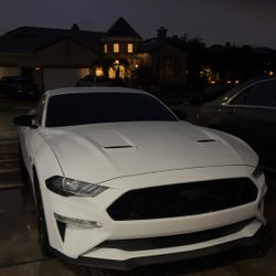 (READ DESCRIPTION) OEM Ford Bumper 