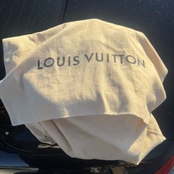 Louis Vuitton Handle Bag
