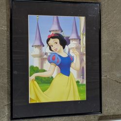 Disney Princess Pictures 