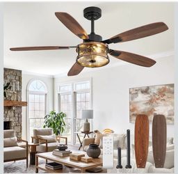 Celling fan with light