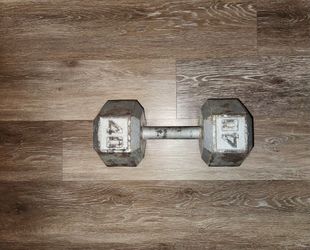 1X 40LB Dumbbell