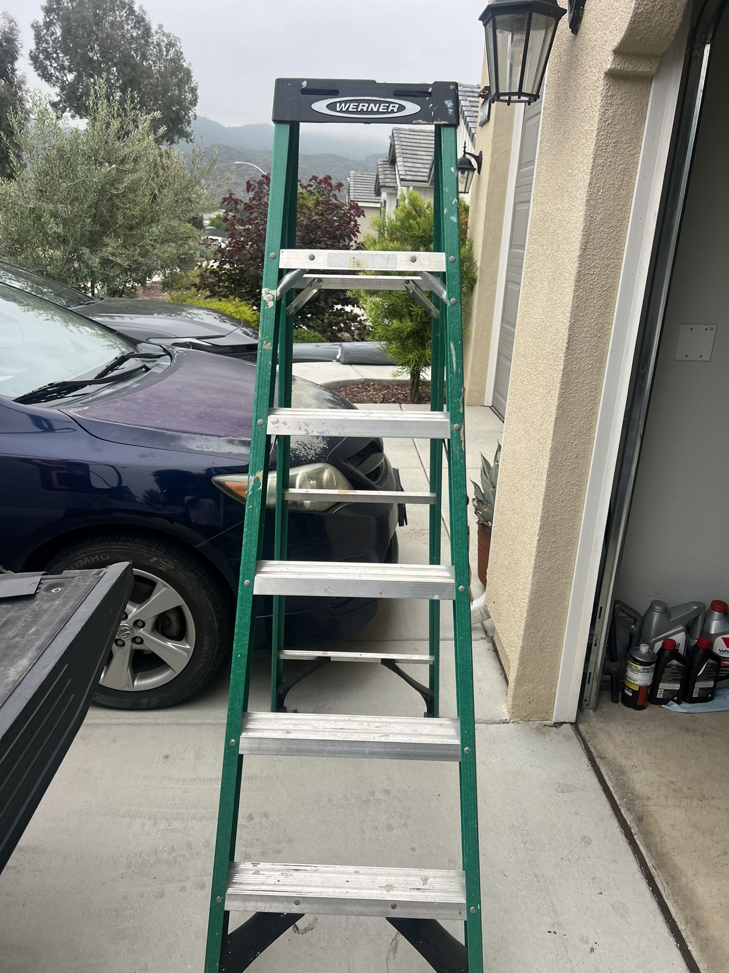 6 Ft Werner Ladder