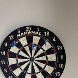 Kingston Official Size Bristle Dartboard