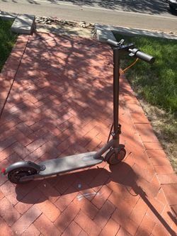 Electric Scooter