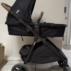 Joie Ginger and Mint Latch Travel System 