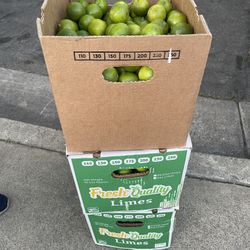 Lime 🍋‍🟩 Boxes For Sale