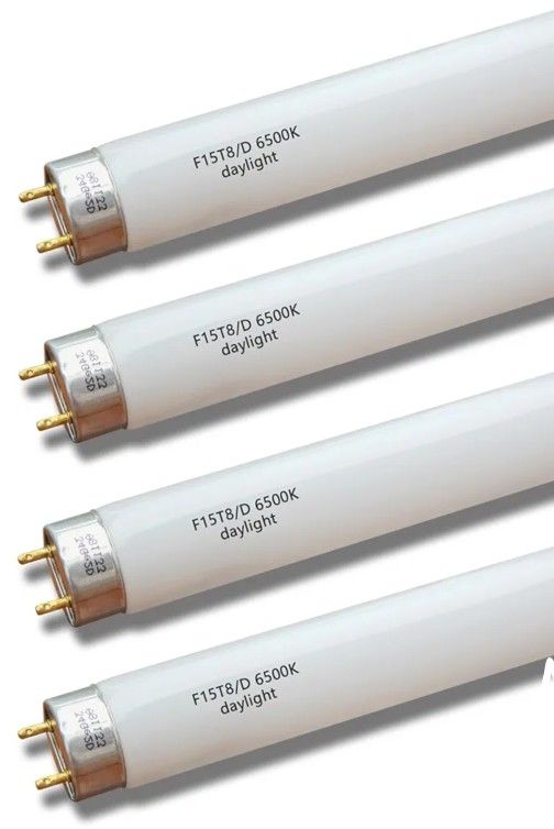 FFISH TANG LIGTHS 18 " LONG