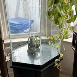 Vintage Hexagon Tank