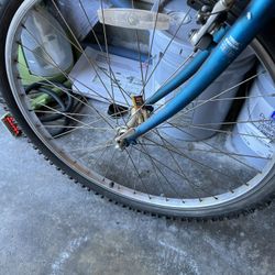 Trek Mountain Track Bike 