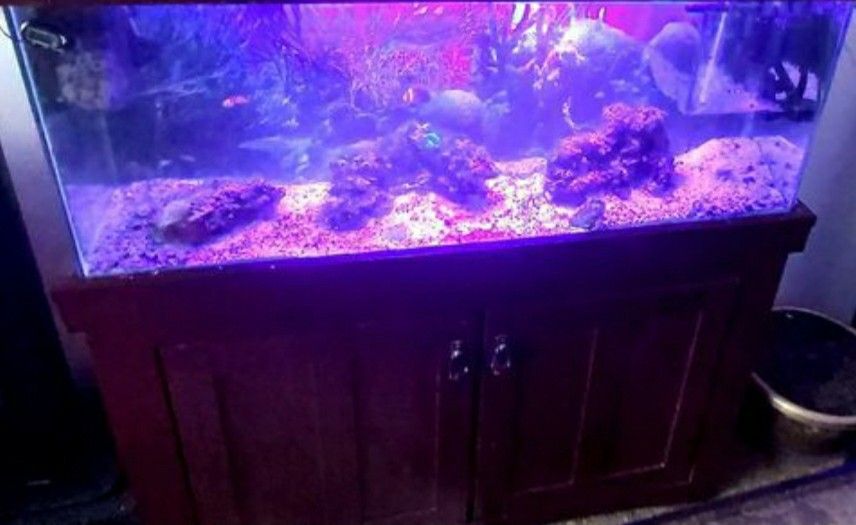 75 gallon fish tank aquarium with accessories and 2 filters will deliver