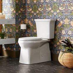 Kohler Elongated Toilet 