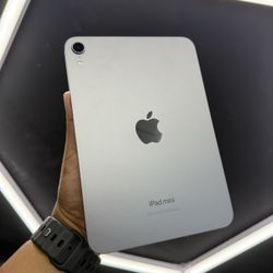 iPad 7 (newest)