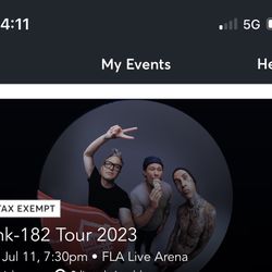 Blink 182 - Lower Level, 5th Row 