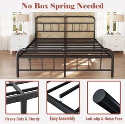 King Bed Frame - Moving Sale!